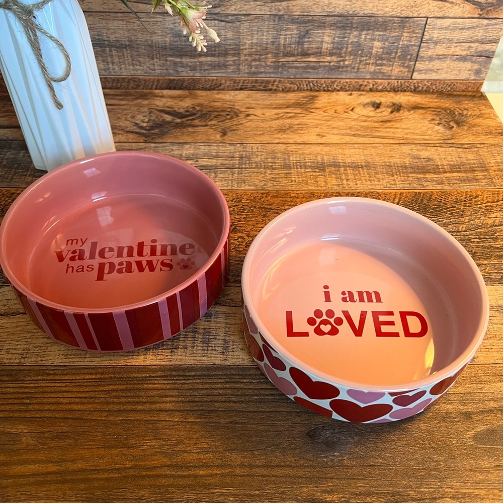Pink and Red Pet Bowls with Heart Designs